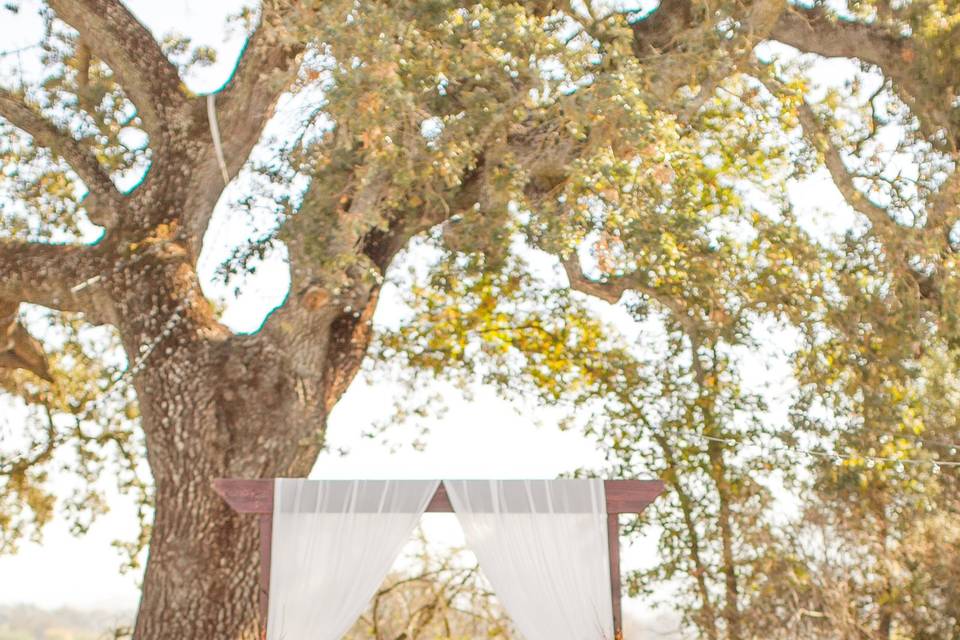 Fall Ceremony Decor with pumpkins and fall flowers.