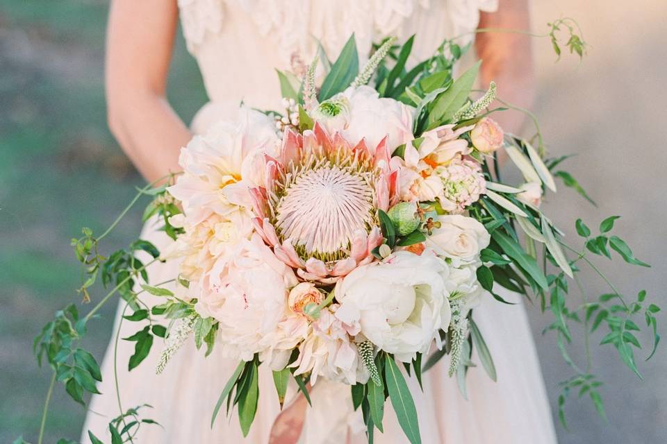 Protea and Peony Bouquet with trailing greenery