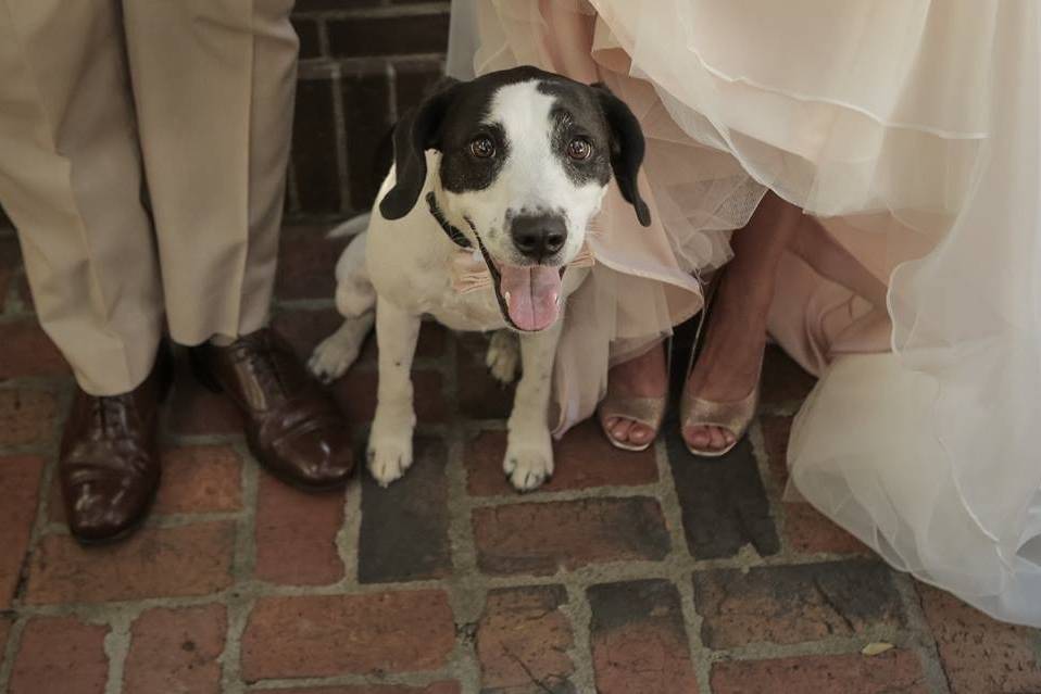 Couple and dog