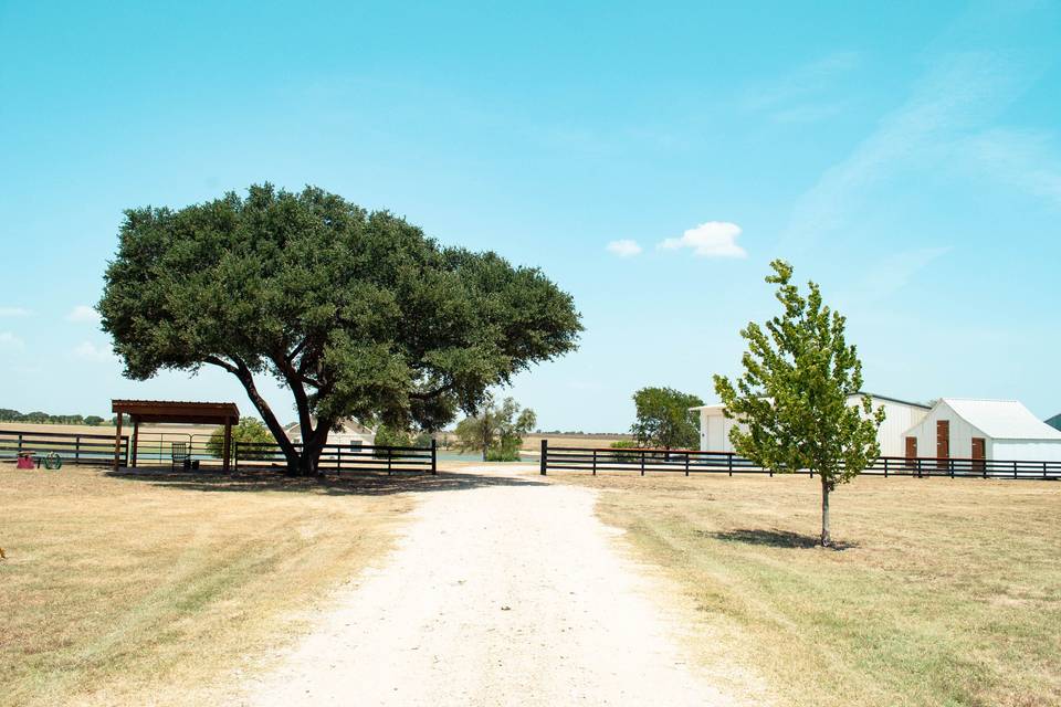 Driveway to the Barn