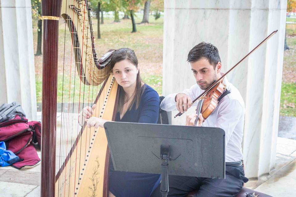 Violin and Harp Duo