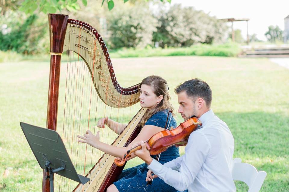 Violin and Harp Duo