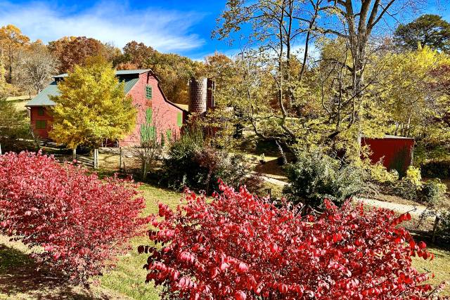 The Barns