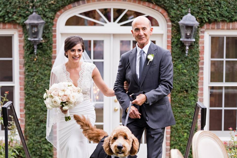 Wedding dog photography