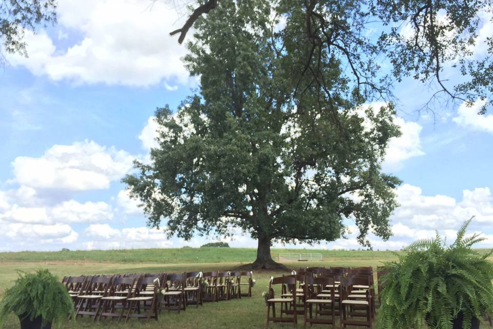 Beautiful ceremony