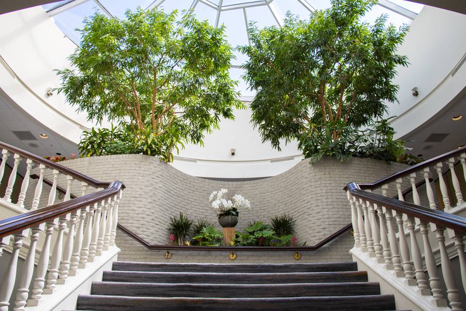 Grand Staircase