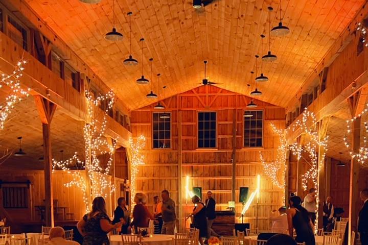 Amazing lighting in the barn