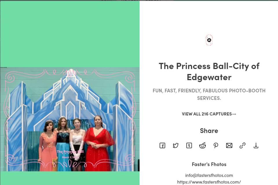 Live Gallery Princess Ball