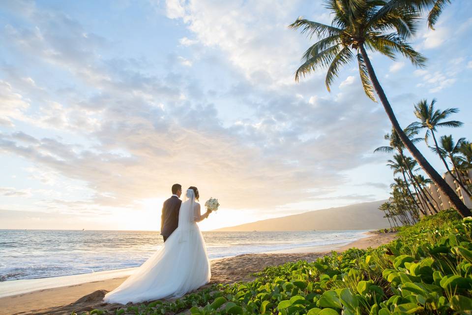 Couples walking on the beach