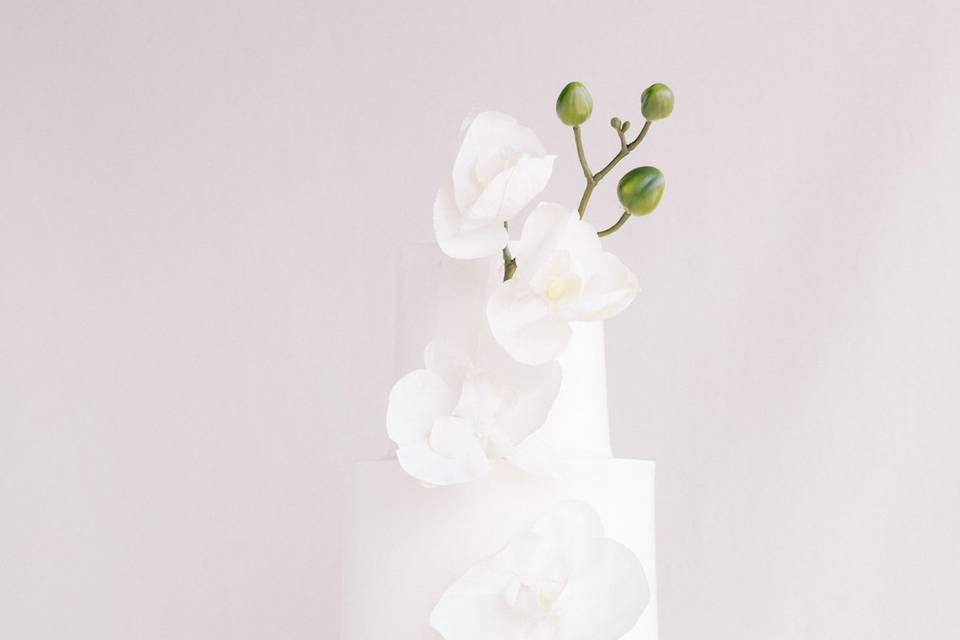 Elegant orchid cake