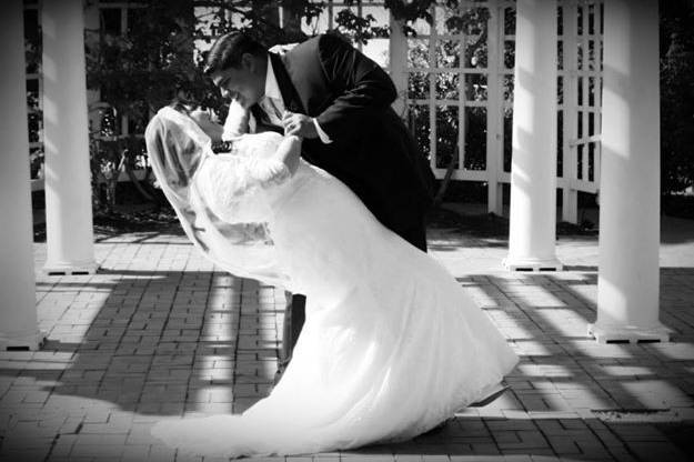 Tara Trevino Photography