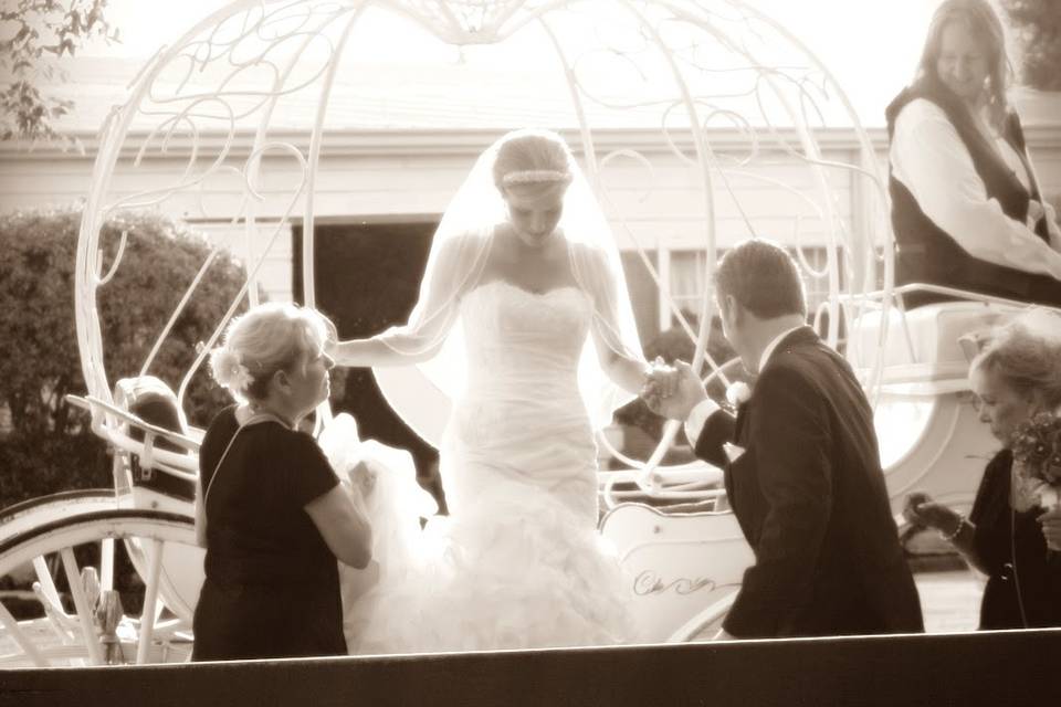 Tara Trevino Photography