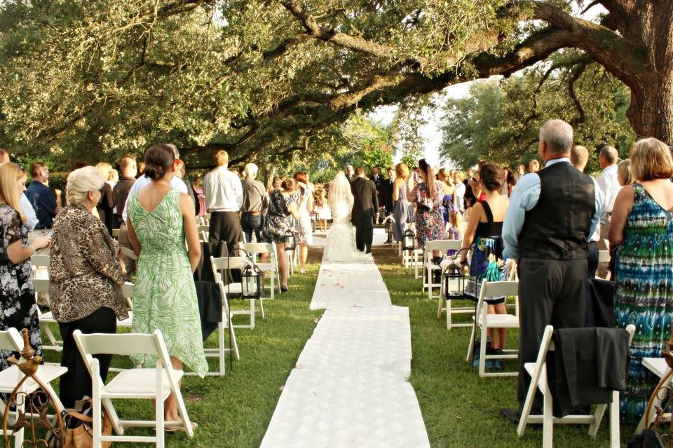 Tara Trevino Photography