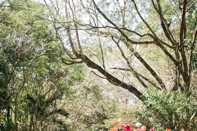 Floral Dreams