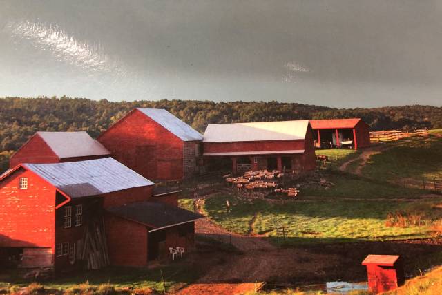 Farm1