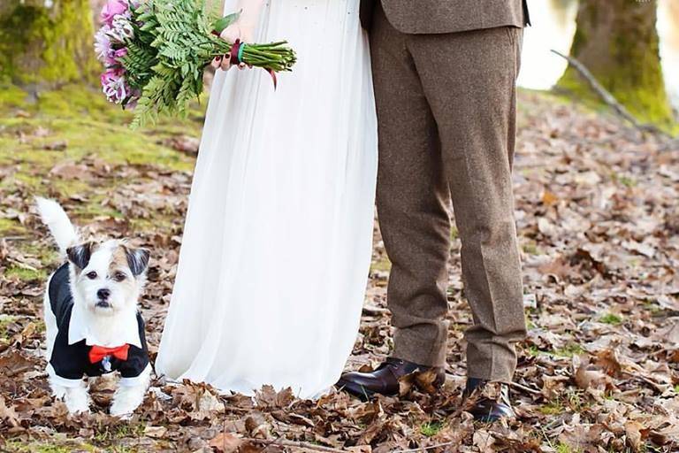 Annemarie Juhlian, Seattle Wedding Officiant & Minister