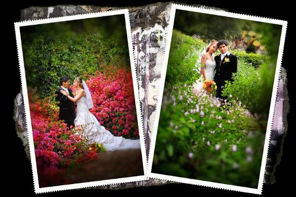 Studio SB Photography - Photography - Santa Maria, CA - WeddingWire
