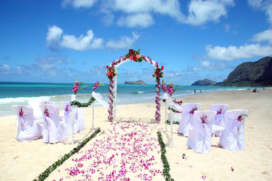 Sweet Hawaii Wedding