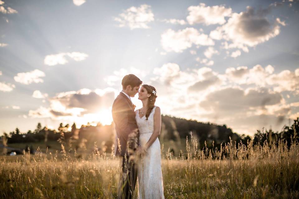 Twilight photos in meadow