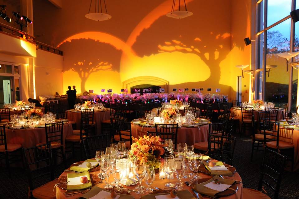 Table settings and lights in the Ventana