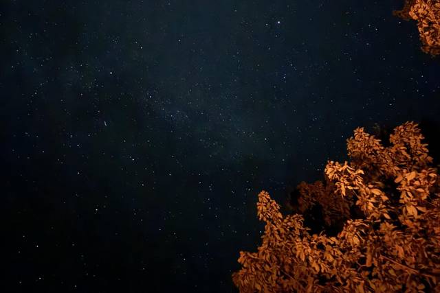 Night sky at lodge