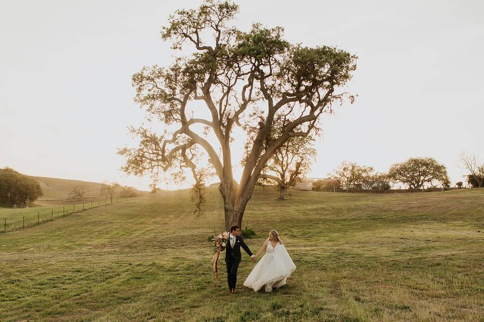 Among the Great Oaks