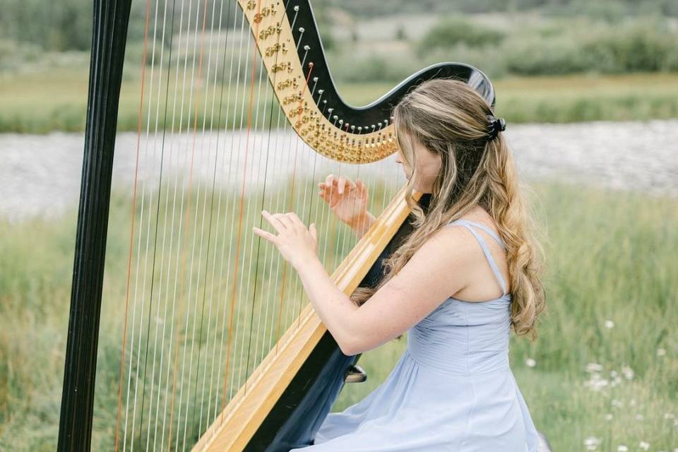 Jenna Hunt Harp