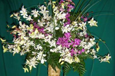 TIKI SPRAYS, WHITE & PURPLOE DENDROBIUM ORCHID SPRAYS