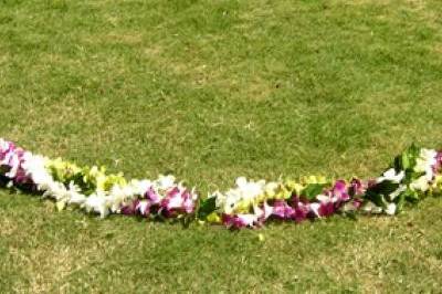 CIRCLE OF LOVE- 8' DIAMETER, MAILE, WHITE DENDROBIUM ORCHID, SONYA ORCHID &  PLUMERIA LEIS ENTWINED.