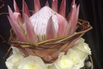 KING PROTEA, WHITE ROSES, BRUNIA, CURLY WILLOW