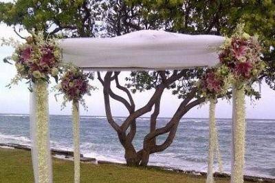 BAMBOO ARCH WHITE CHIFFON- 4- CORNER SPRAYS, 12- STRANDS OF 6' WHITE DENDROBIUM ORCHID LEIS.