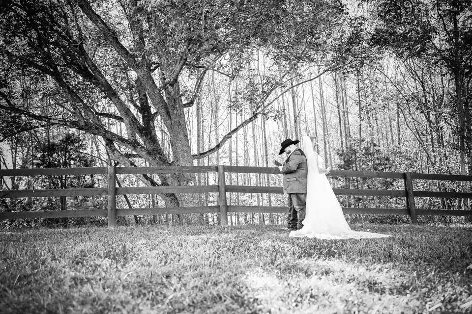 Black & White Scenary