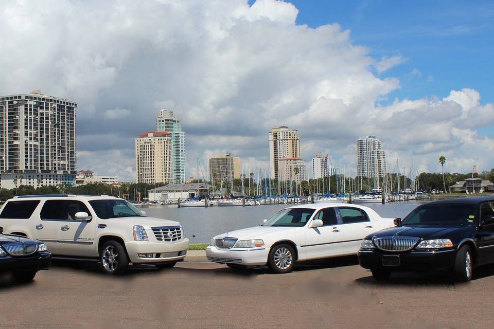 Choose your ride from a Stretch, SUV or Lincoln Towncar