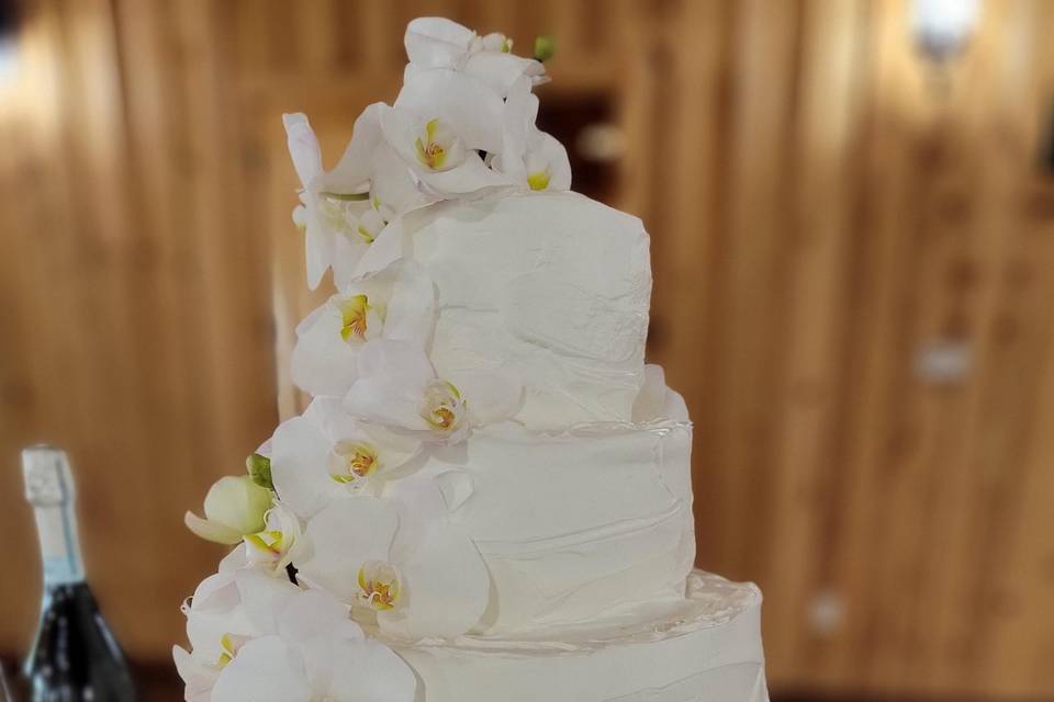 4 tier orchid