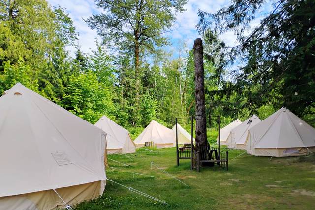 Glamping tents