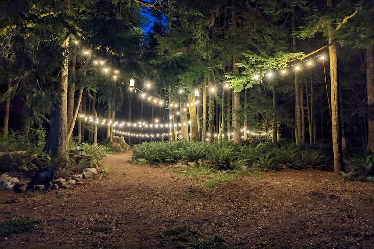 Forest venue at night