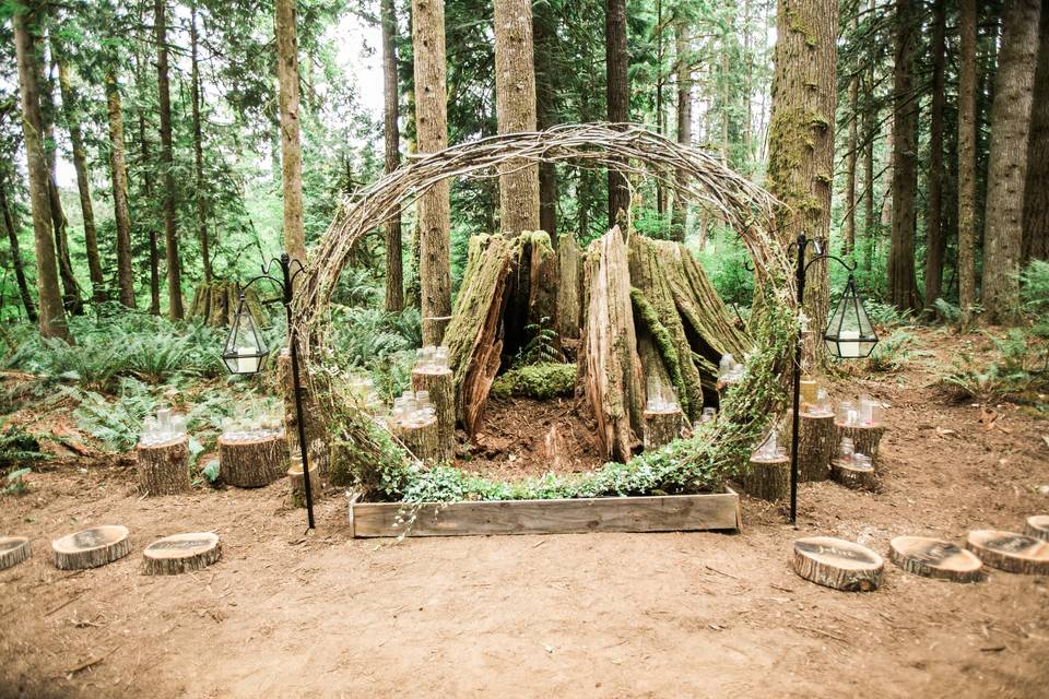 Forest Venue-6