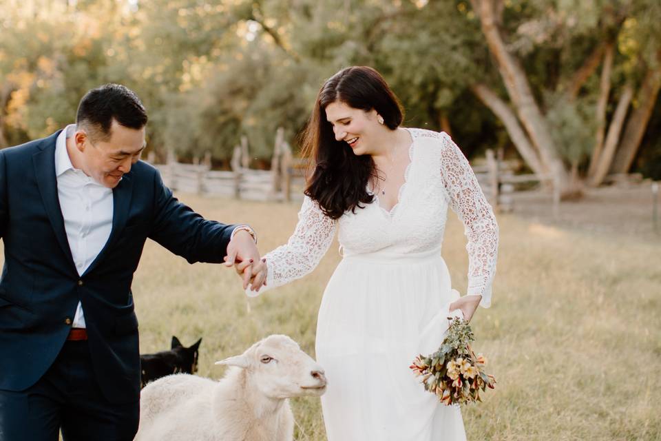 Cortez Elopement