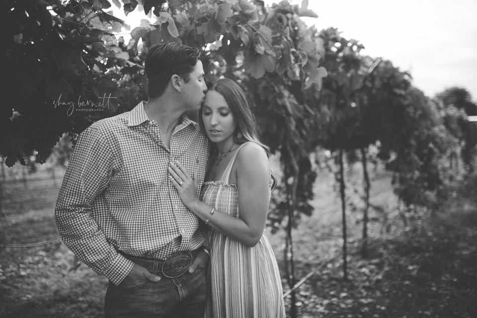 Engagement session in vineyard