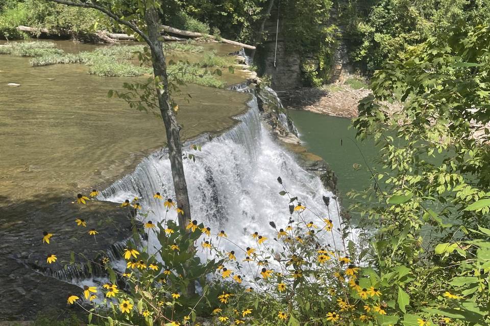 Wildflowers and waterfalls