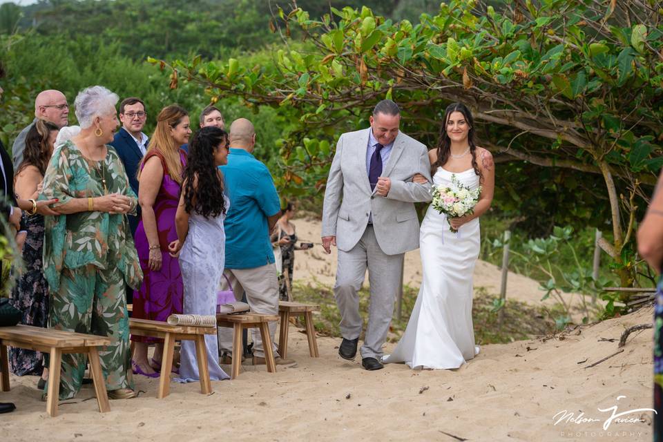 Father escorting bride