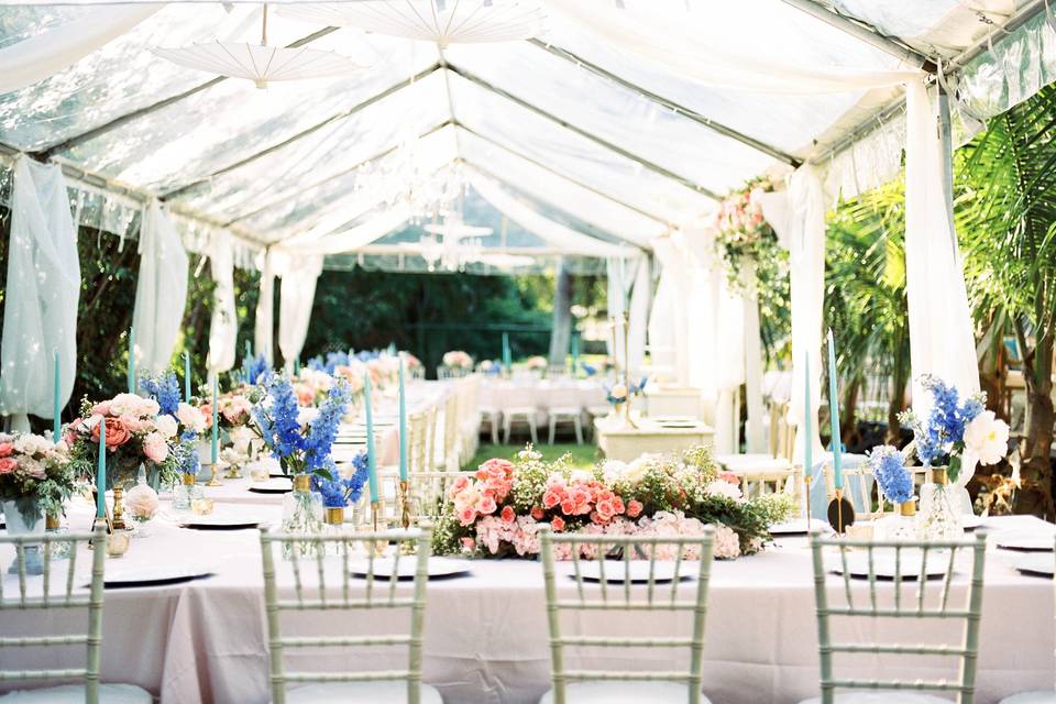 Garden party venue clear tent