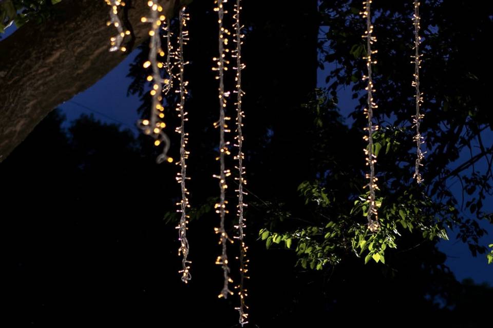 Fairy lights