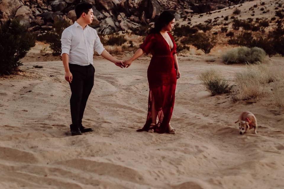 Joshua Tree Proposal