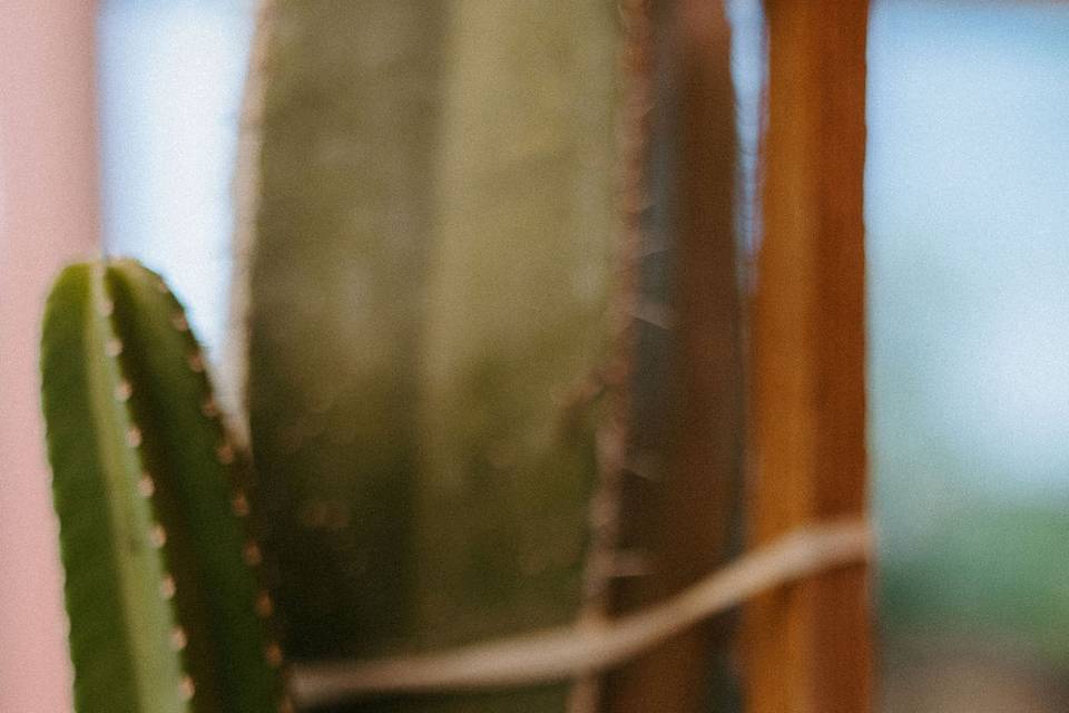Details