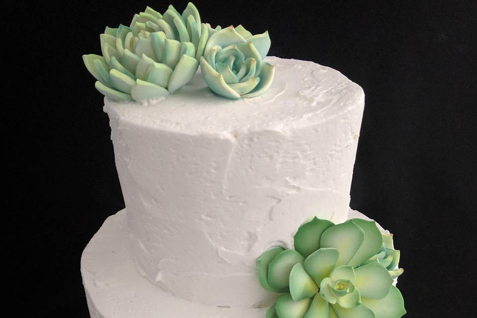 Simple succulent 2 tier