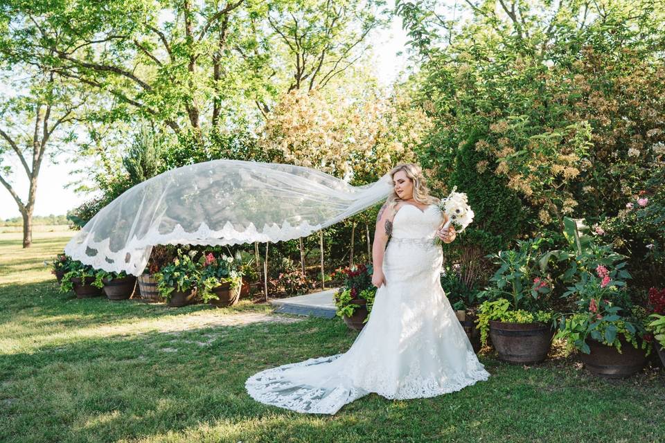 Elegant Bridals