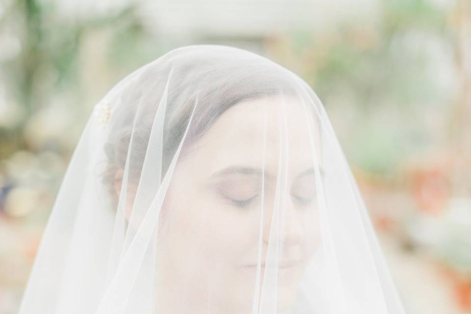 Delicate veil - Ashley Kristen Photography