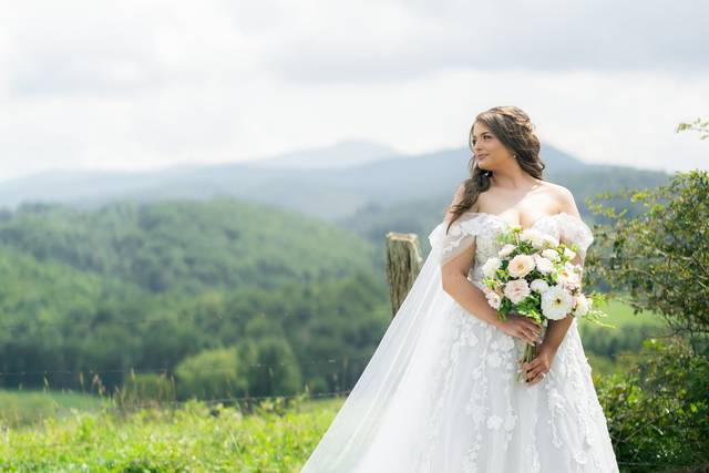 Bridal Portrait
