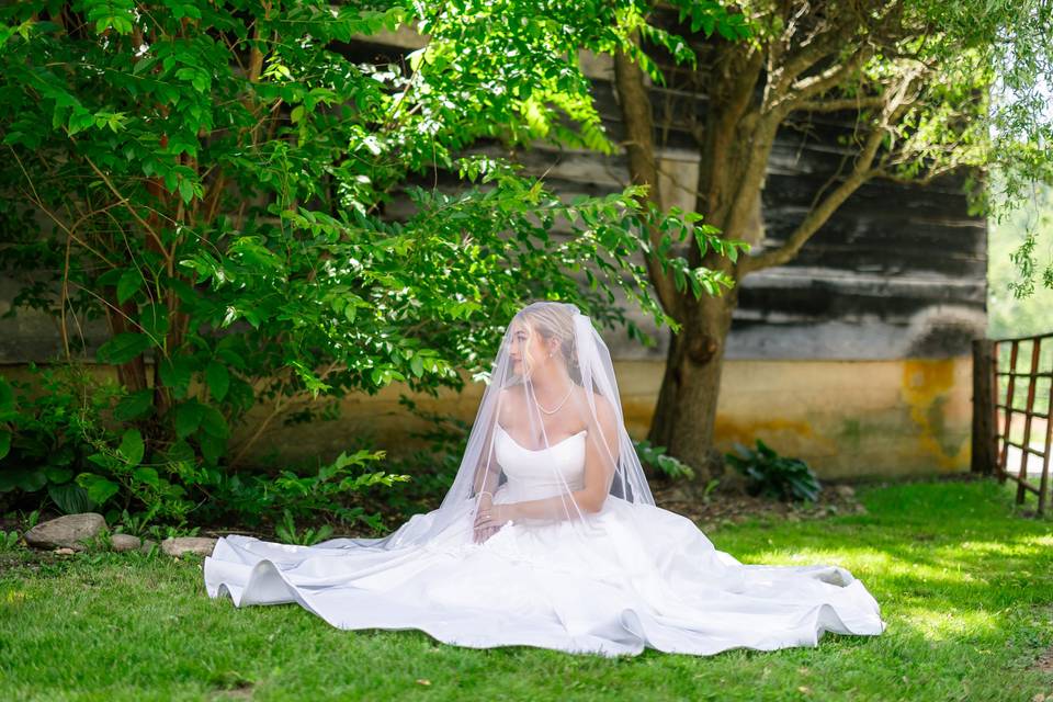 Bridal Picture